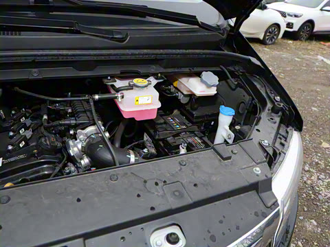 2025�� PLUS 1.5T �ֶ������� 7/8��