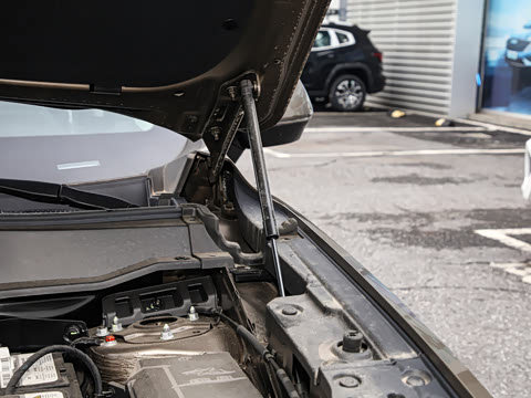 2023�� 2.0T ������Ұ��