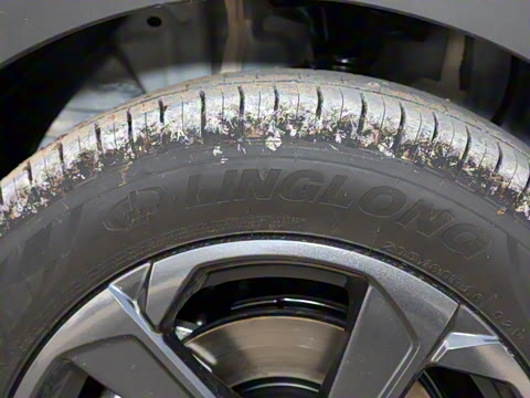 2024�� 401km ө��