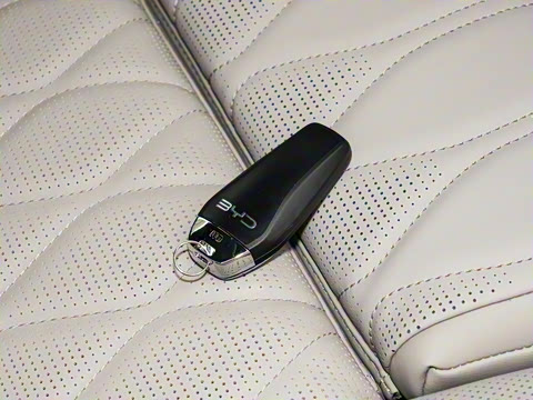 2025�� DM-i 115KM �����콢��