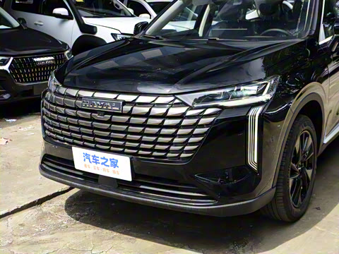 2024�� 2.0T ����Max