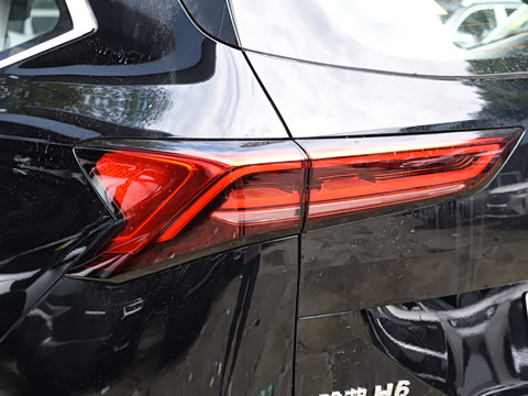 2024�� 2.0T ����Max