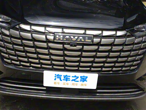 2024�� 2.0T ����Max