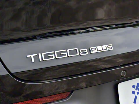 2025�� 290TGDI DCT����� 7��