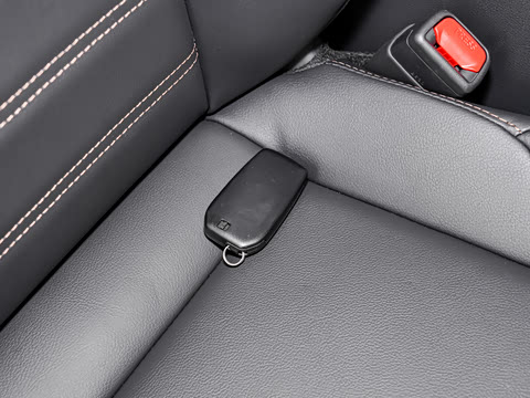 2024�� ˫�� 2.5L E-CVT��������PLUS��