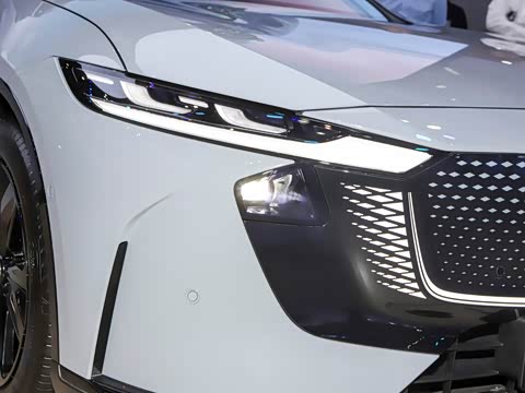 2025�� ����600�����˶���