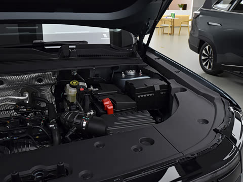 2025�� 1.6T �������ְ�