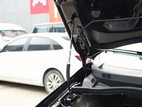 2022�� 2.0L CNG�ֶ�������