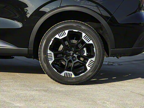 2025�� ������