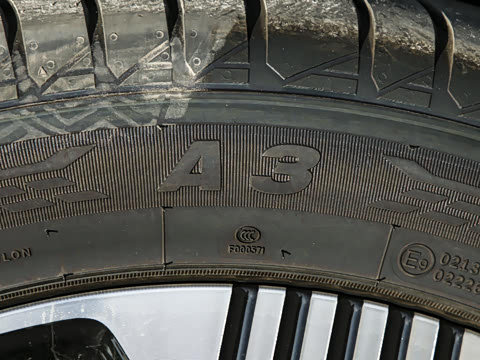 2025�� ������