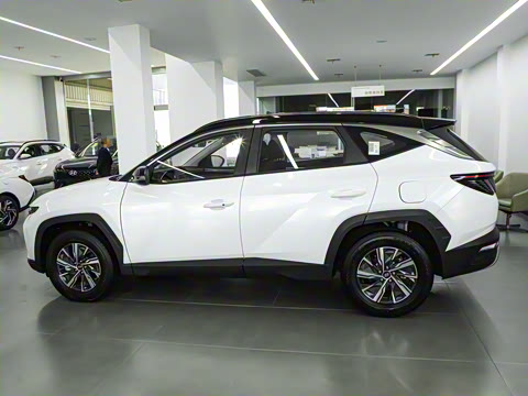 2022�� ;ʤL 2.0L �춯��������