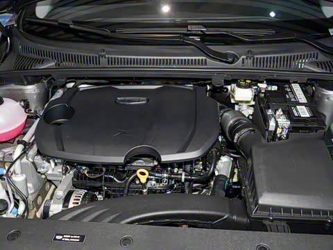 2024�� ����COOL 1.5T DCT���ڰ�