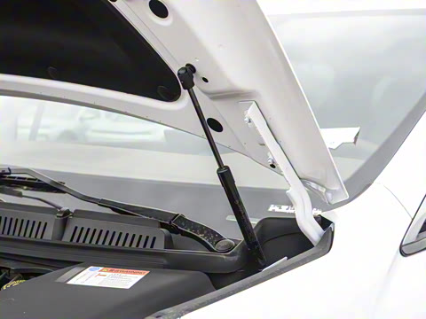 2025�� DM-i 1.5T 100km �캽��