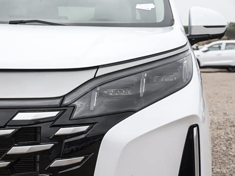 2025�� DM-i 1.5T 100km �캽��