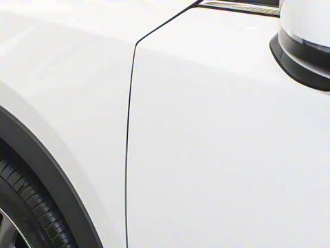 2024�� 2.0L �Զ���������Pro