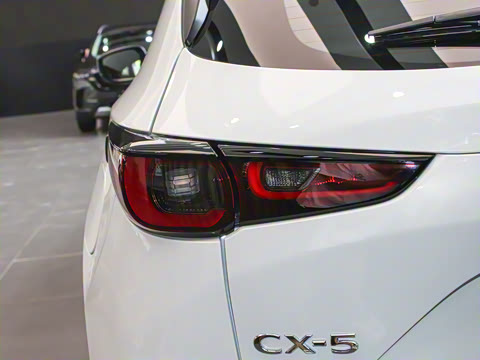 2024�� 2.0L �Զ���������Pro