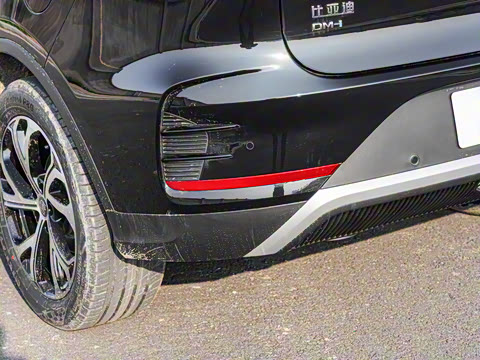 2025�� DM-i 115KM �����