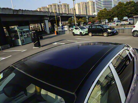 2025�� 530km ����Max