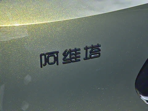 2024�� Max�����