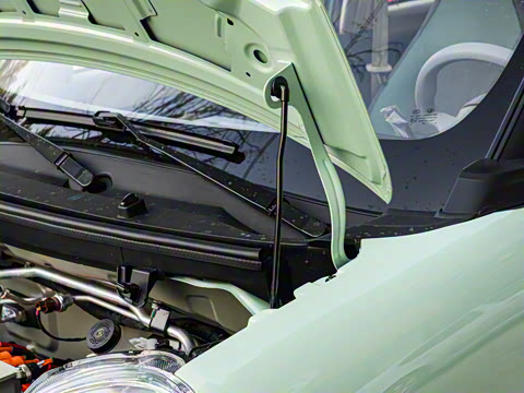 2025�� 201km ���ְ�