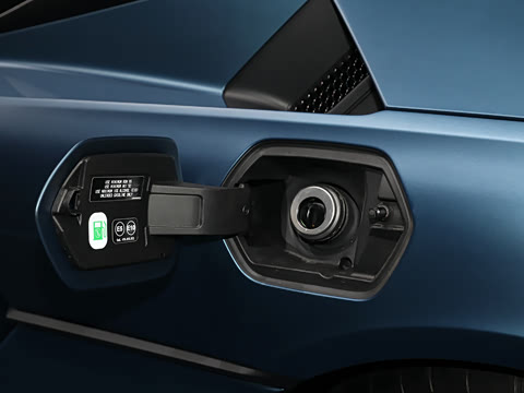 2025�� ������