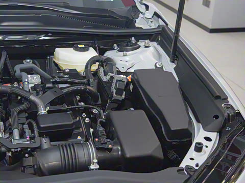 2024�� ˫�� 2.0HXS �˶�Plus��