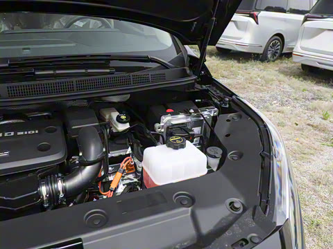 2025�� ½�� ������ 7��