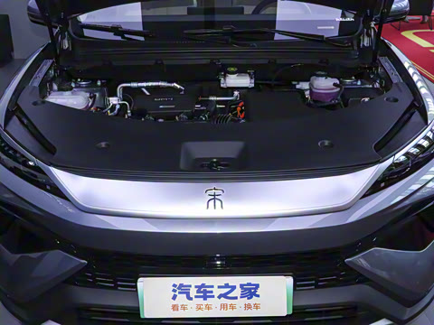 2025�� �ڶ��� DM-i 115KM��Խ��