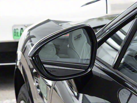 2025�� Max ���������