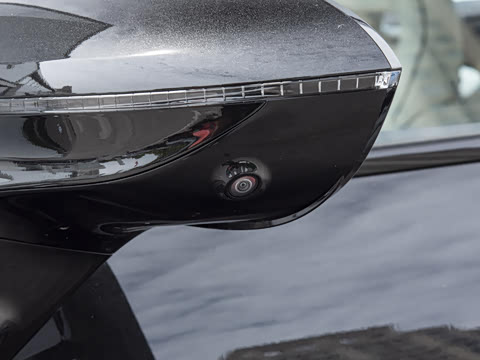 2025�� Max ���������