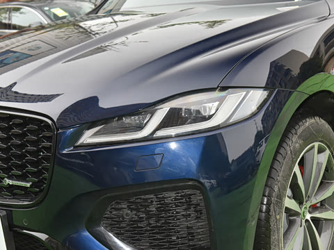 2025�� P250 R-Dynamic SE