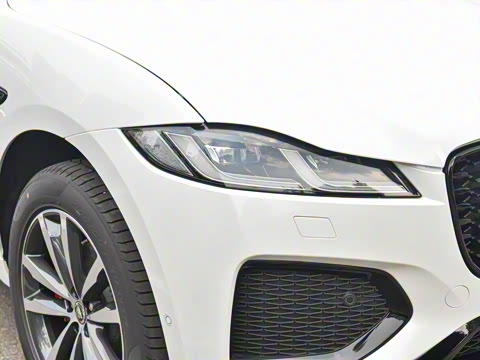 2025�� P250 R-Dynamic SE