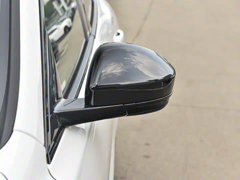 2025�� P250 R-Dynamic SE