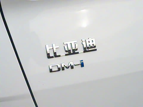 2025�� DM-i 80KM�����