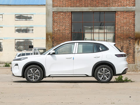 2025�� 55km ̽����