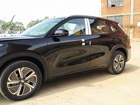 2025�� 55km ̽����