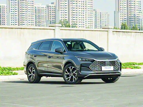 2025�� DM-i 115KM ������