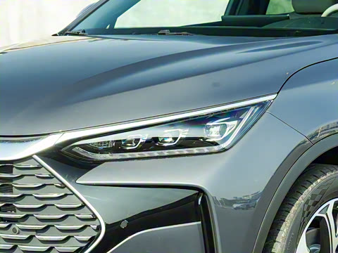 2025�� DM-i 115KM ������