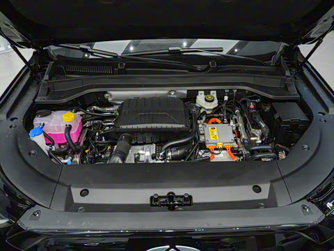 2024�� 120 �������������� 5�� �������