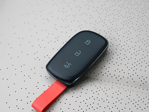 2025�� 530km ����Max