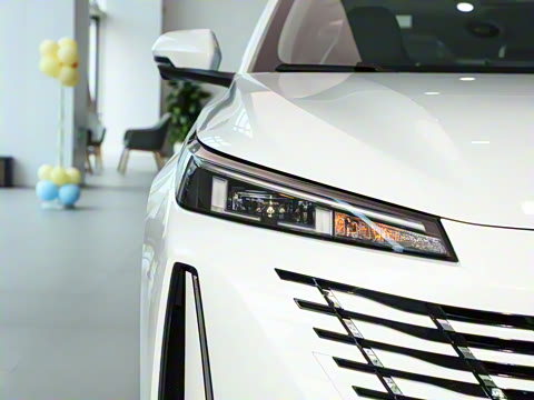 2024�� 1.5T GDI�Զ� �����