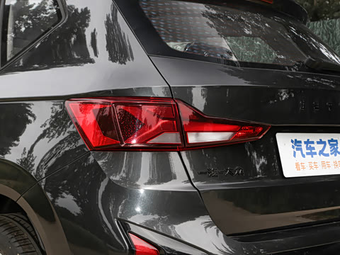 2024�� 280TSI �Զ��ȷ��