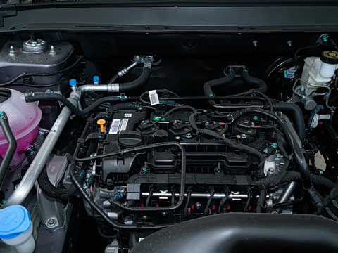 2025�� 1.5L �ֶ�׿Խ��