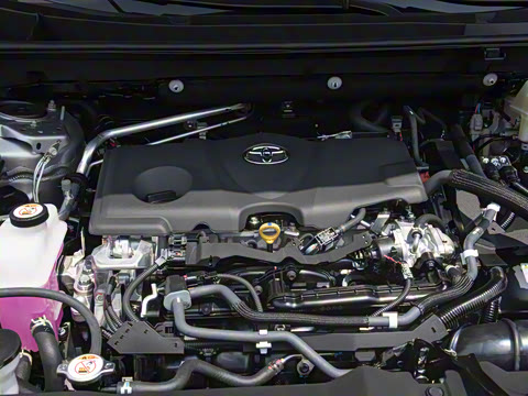 2024�� ˫�� 2.5L E-CVT��������PLUS��