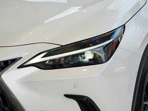 2024�� 350h ȫ�� ���ΰ�