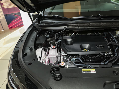 2025�� 350h ����������