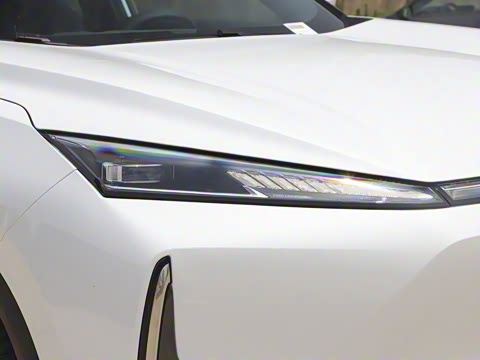 2025�� 205��������������