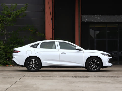 2024�� DM-i 120KM��Խ��