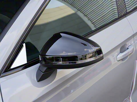 2024�� RS 5 2.9T Sportback ȼ���