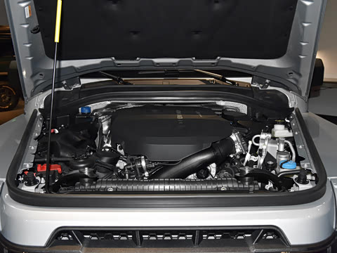 2025�� Fieldmaster��